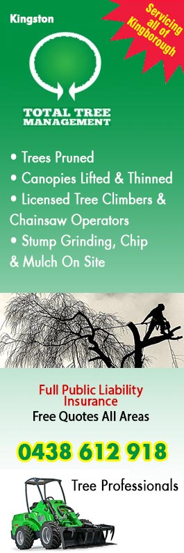 Total Tree Management