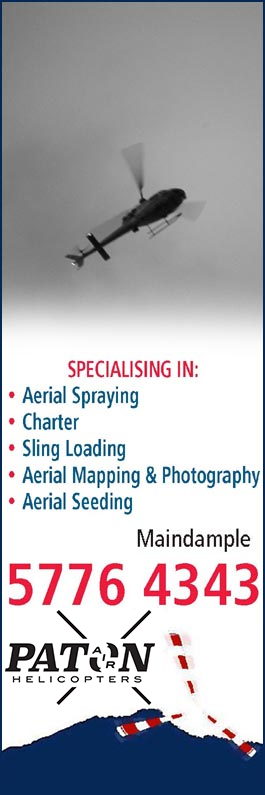 Paton Air Helicopters