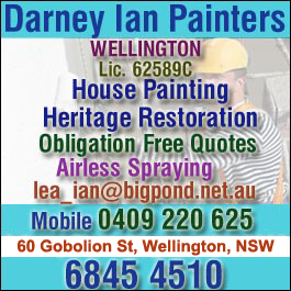 Darney Ian Painters