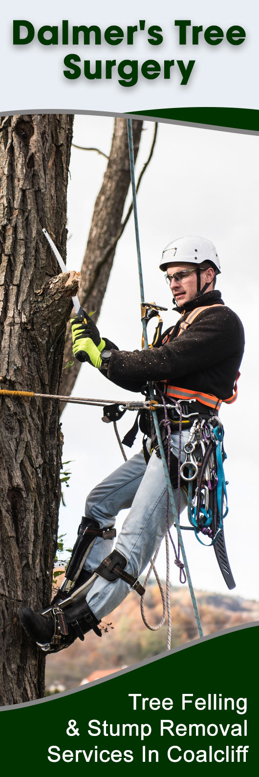 Dalmer's Tree Surgery