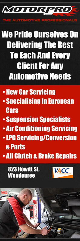 Motor Pro