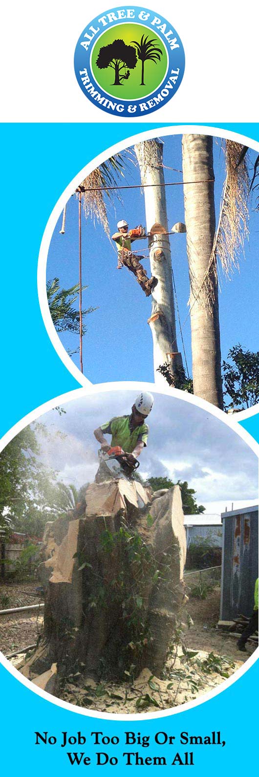 All Tree And Palm Trimming And Removal