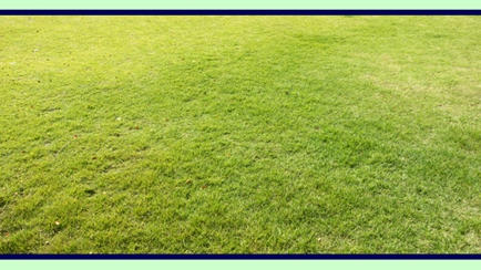 Ipswich Turf Supplies Hero Image