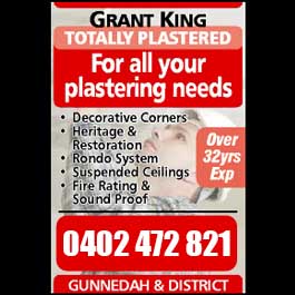 Grant King Totally Plastered