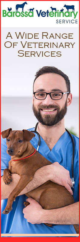 Barossa Veterinary Service