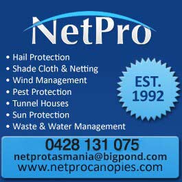 Netpro Tasmania Construction