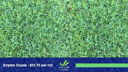 Lockyer Lawn Supplies Hero Image