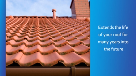 Town & Country Roof Restoration Hero Image