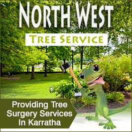 North West Tree Services