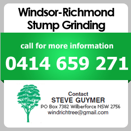 Windsor-Richmond Stump Grinding