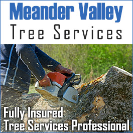 Meander Valley Tree Services