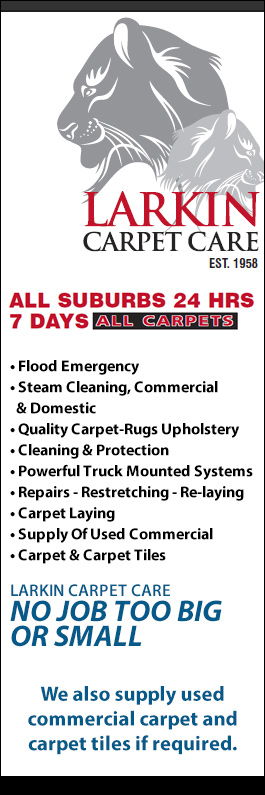 Larkin Carpet Care