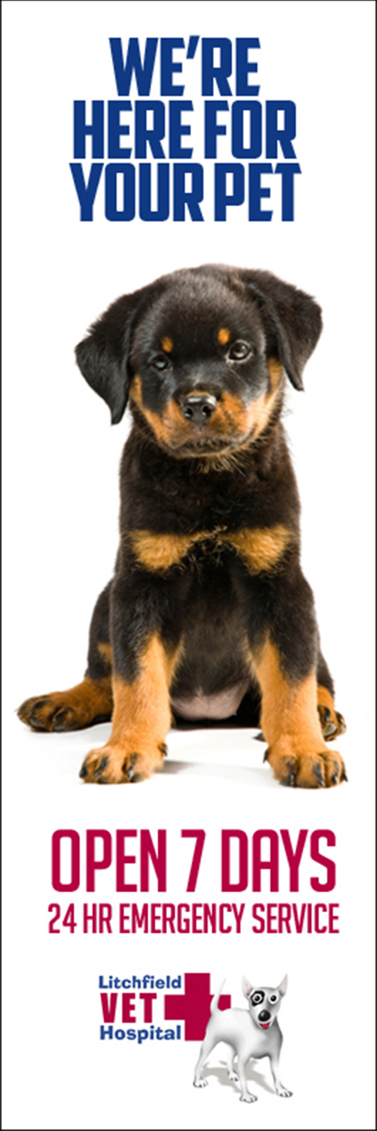 Litchfield Veterinary Hospital