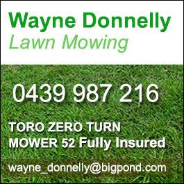 Wayne Donnelly Lawn Mowing