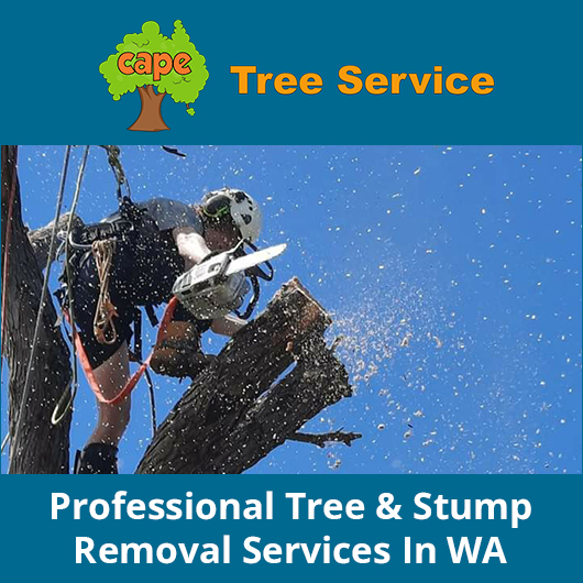 Cape Tree Service Albany, Little Grove and Bayonet Head