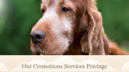 Mackay Pet Cremations Hero Image