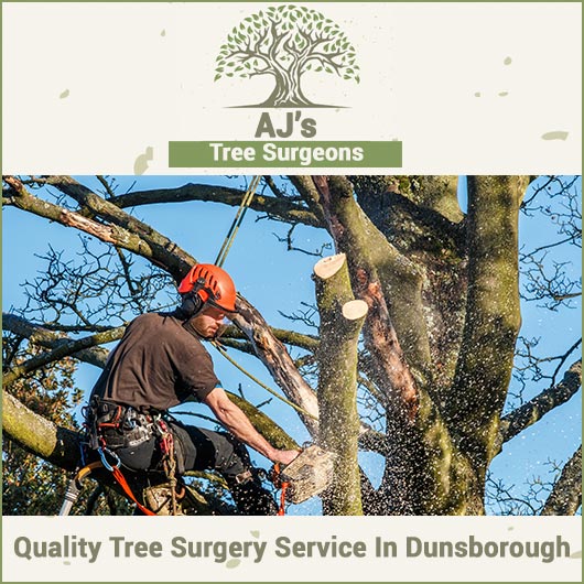 AJ's Tree Cutters