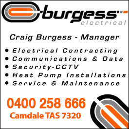 Craig Burgess Electrical