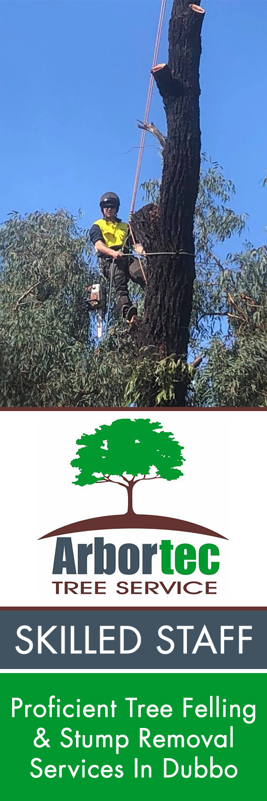 Arbortec Tree Service