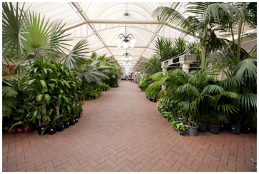 Virginia Nursery Pty Ltd Hero Image