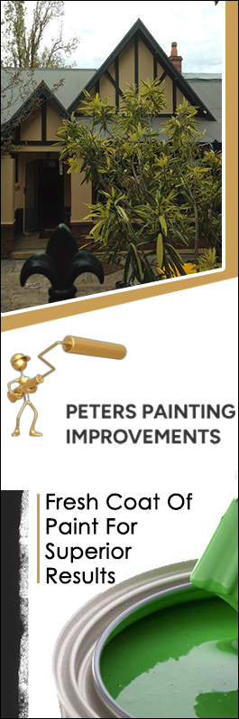 Peters Painting Improvements