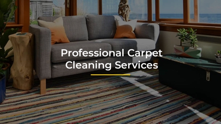 Ezi-Dry Carpet Care Hero Image