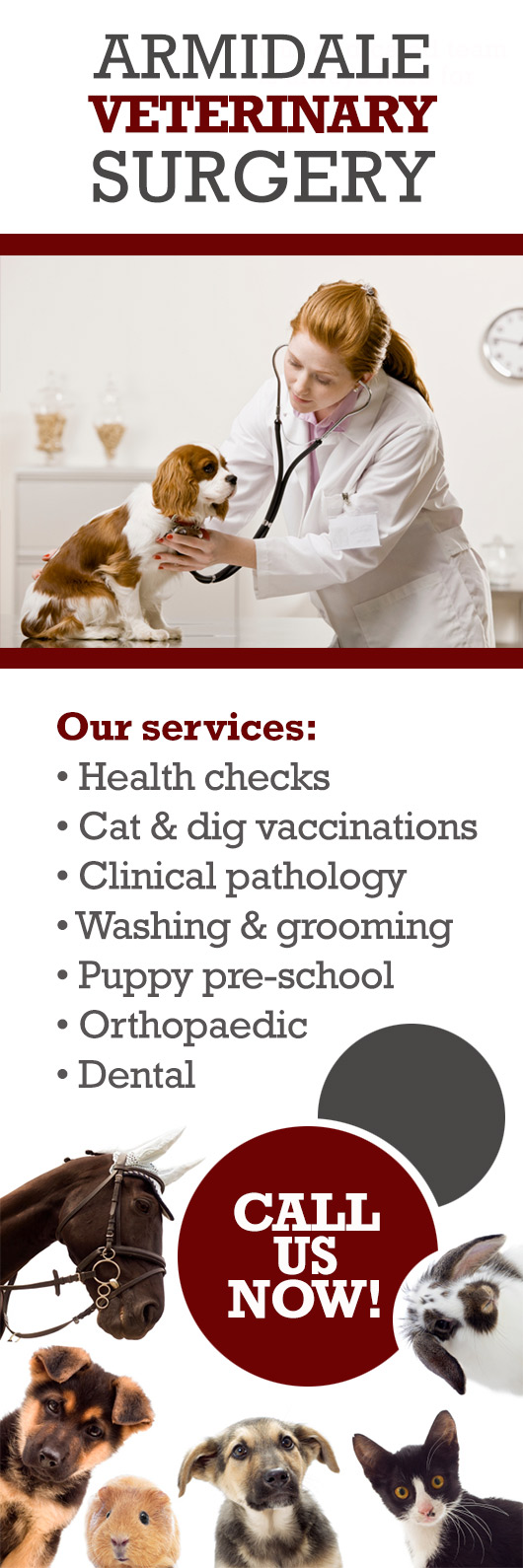 Armidale Veterinary Surgery