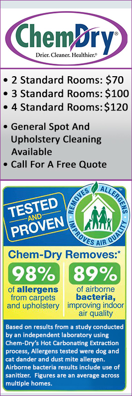 Chem-Dry South East