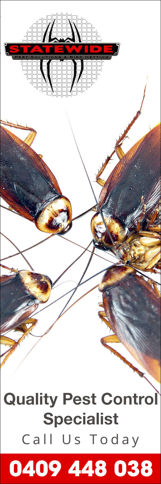 Statewide Pest Solutions And Bird Netting