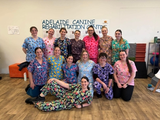 Pet Universe Veterinary Centre Broadview & Northgate Hero Image
