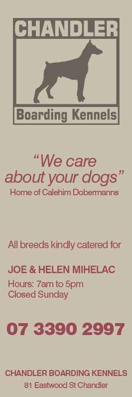 Chandler Boarding Kennels