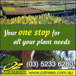 Oz Trees