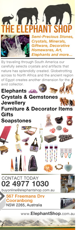 The Elephant Shop