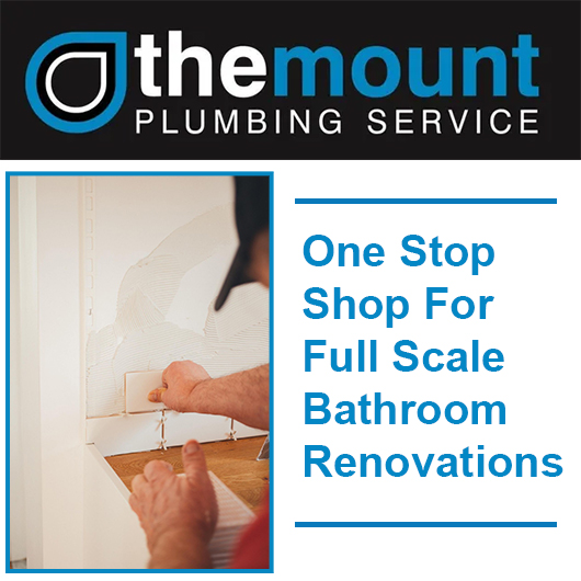 The Mount Plumbing Service