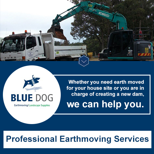 Blue Dog Earthmoving