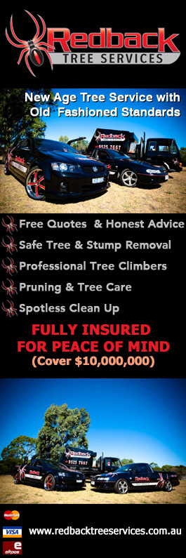Redback Tree Services