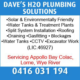Dave's H2O Plumbing Solutions