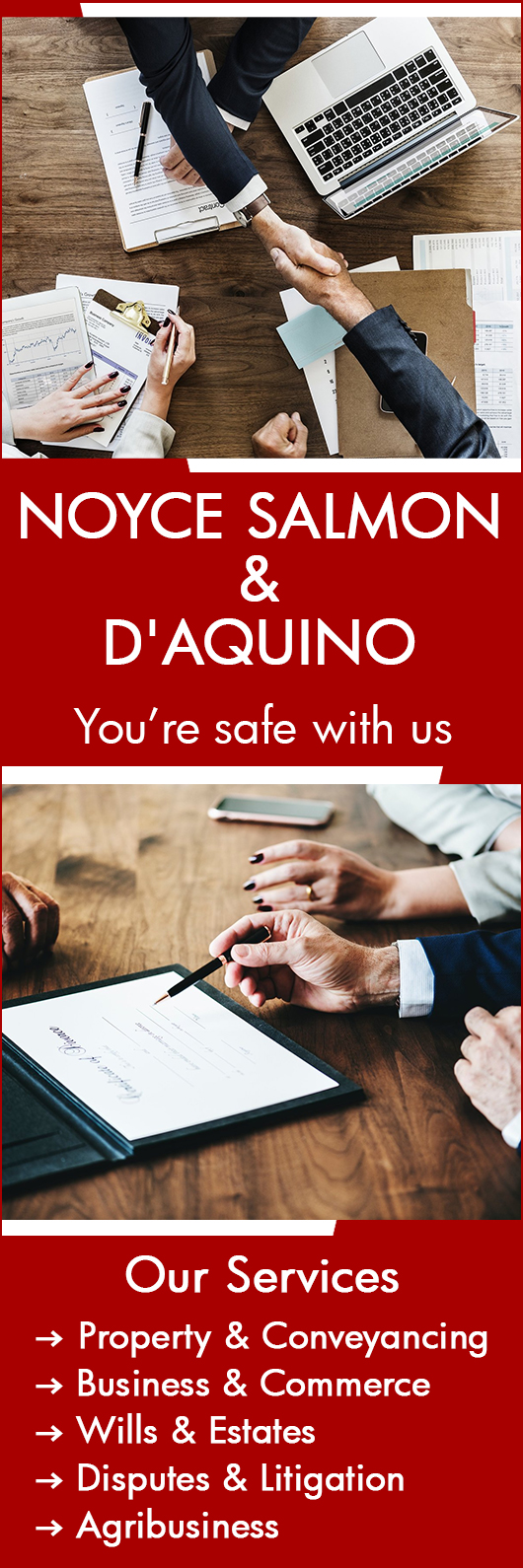 Noyce Salmon & D'Aquino