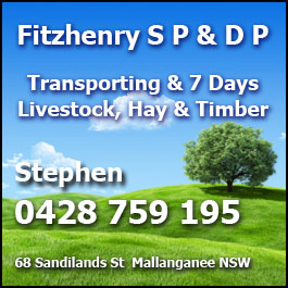 Fitzhenry S P & D P
