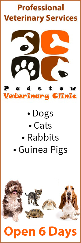 Padstow Veterinary Clinic  Dr Yee Keong Leong