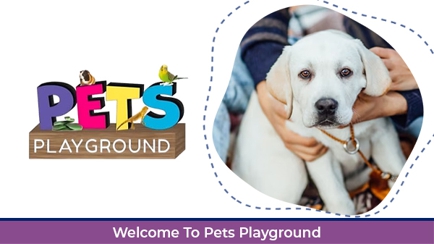 Pets Playground Hero Image