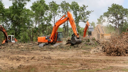 Jackson Tree Services Hero Image