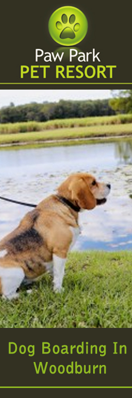Paw Park Pet Resort