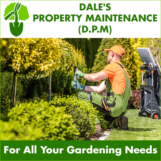 Evergrow Garden Maintenance