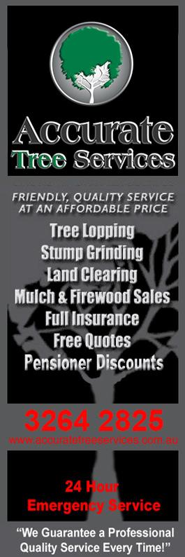 A Accurate Tree Services
