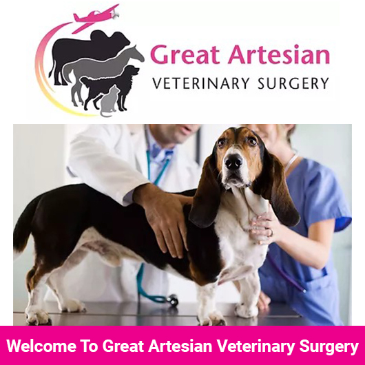 Great Artesian Veterinary Surgery