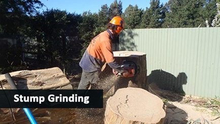 Mckill's Tree Service Hero Image