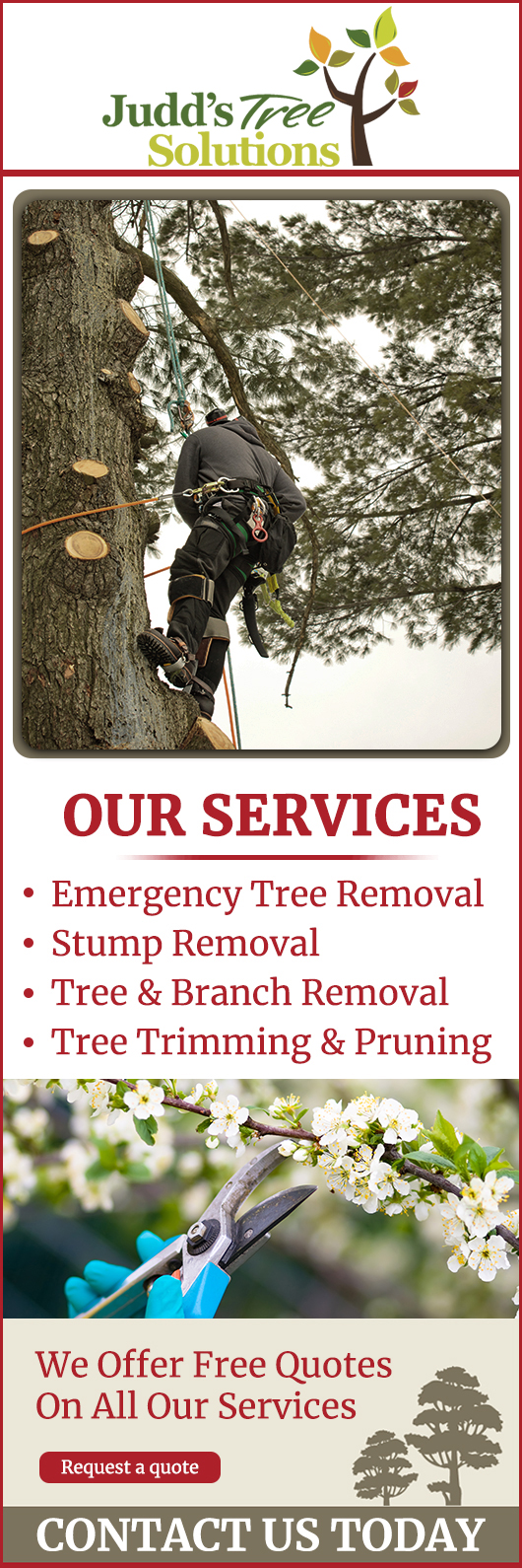 Judd's Tree Solutions