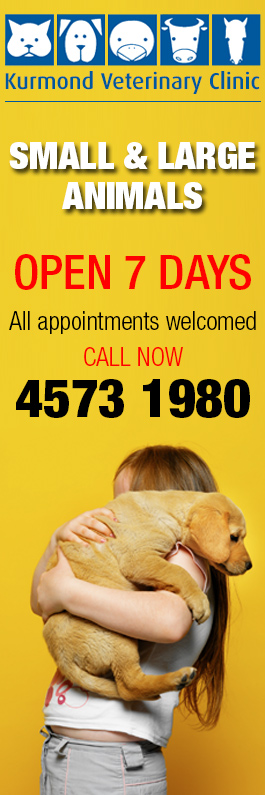 Kurmond Veterinary Clinic