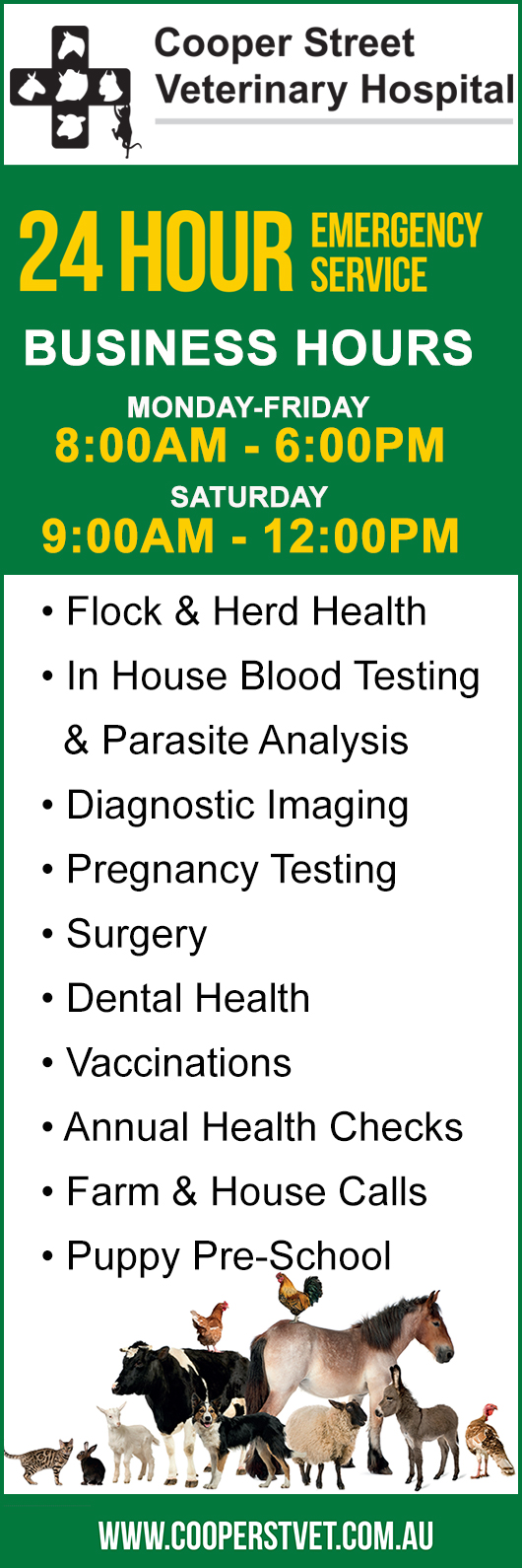 Cooper Street Veterinary Hospital